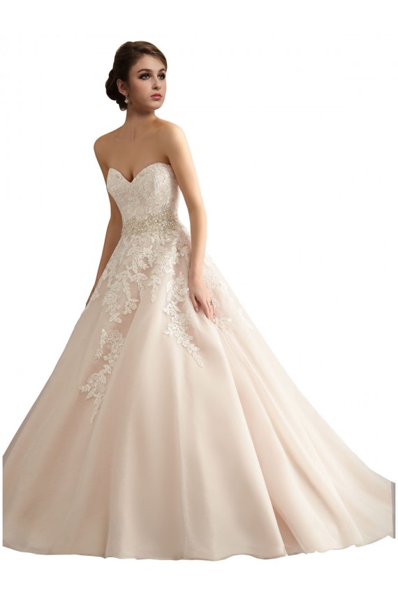 Acquista Avorio & Champagne Abito da ballo Scollatura a V Cattedrale di treno Tulle Pizzo Abiti da sposa